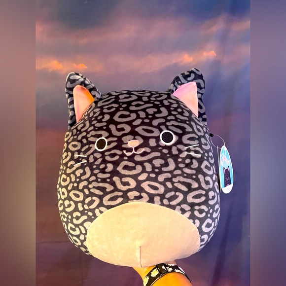 XIOMARA the 10/12” squishmallow cat - Picture 1 of 4